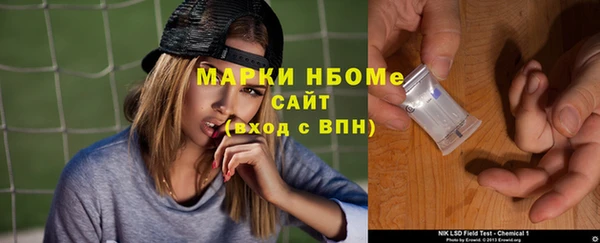 стаф Алексин