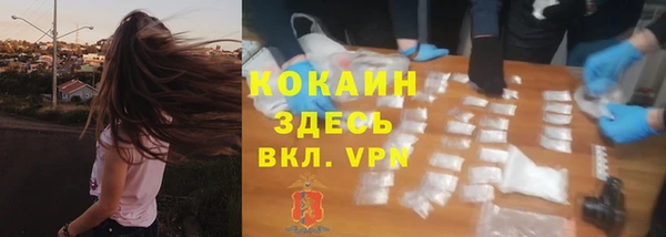 стаф Алексин