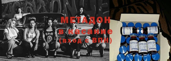 стаф Алексин