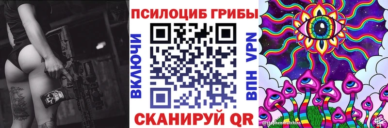 как найти закладки  Люберцы  Галлюциногенные грибы MAGIC MUSHROOMS 