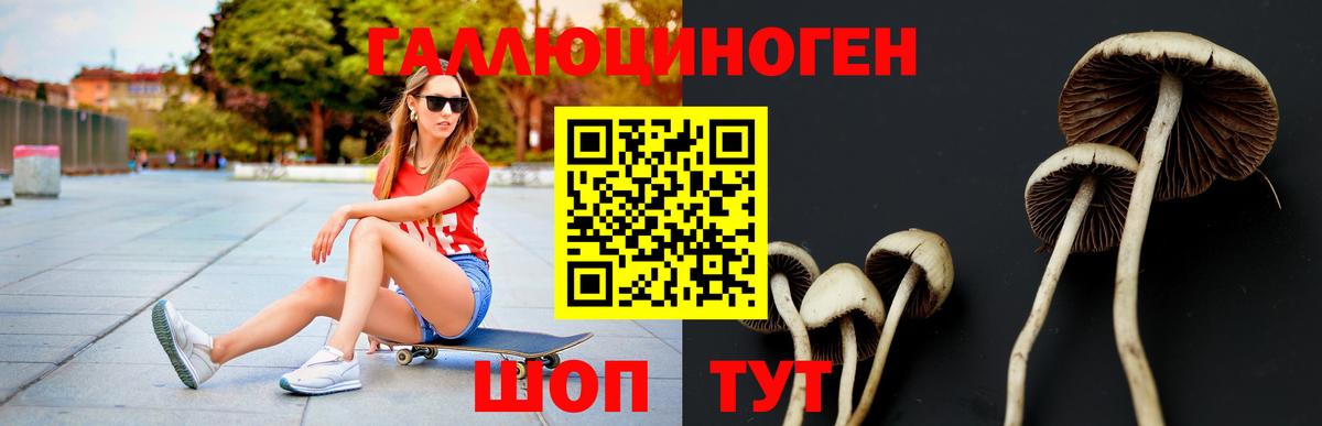 Галлюциногенные грибы ЛСД Люберцы